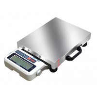 Portable portable express universal electronic scale