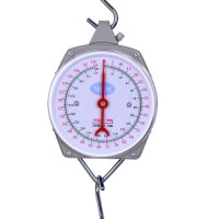 Portable Hot sell Weighing Scales of ZY-006 Hanging