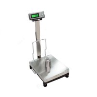 100g/300kg Low Price Guaranteed Quality Weighing LBS Electronic Platform Scale